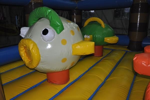 55